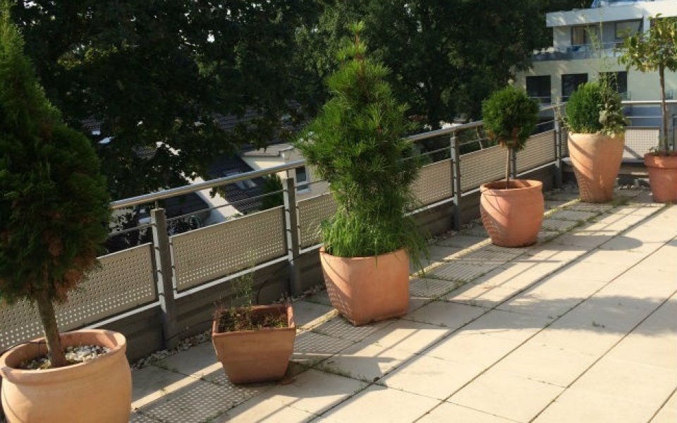 Terrasse vom Wohnraum