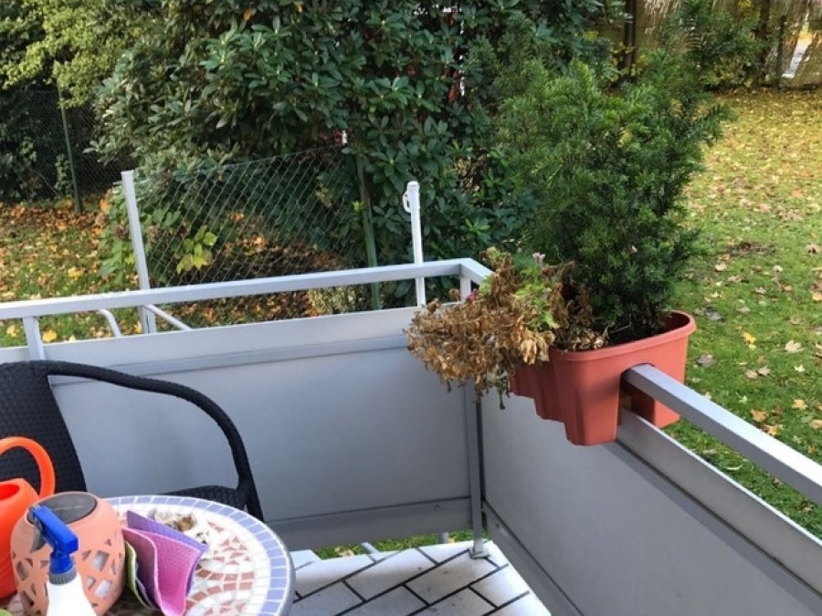 Kleine Erdgeschosswohnung in Solingen-OhligsNähe S-Bahn Düsseldorf/Vogelsang