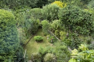 Blick in den Garten 