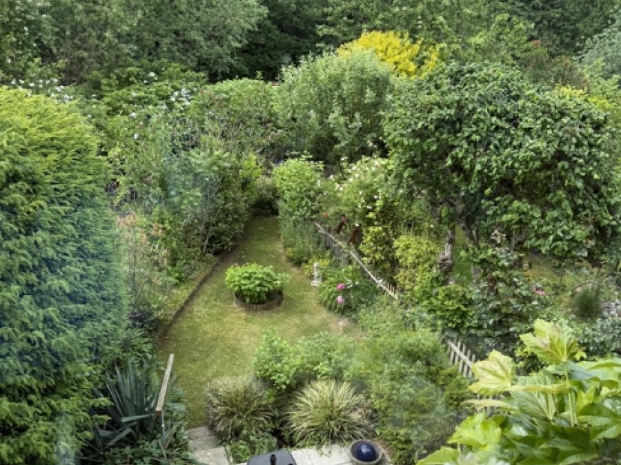 Blick in den Garten 