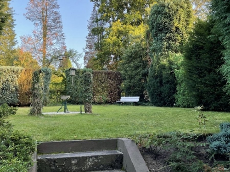 Top sanierte EG-Wohnung in SG-Ohligs mit unverbaubarer Lage

Nähe ehemaliger St.-Lukas-Klinik