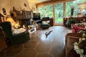 Wohnzimmer mit Blick in den Garten